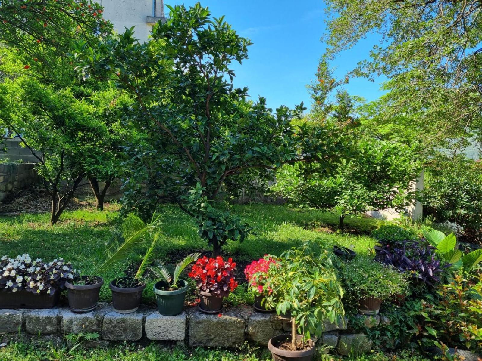 Apartments Luka Котор Екстер'єр фото